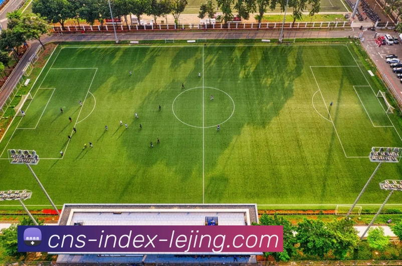 多媒体互动体验